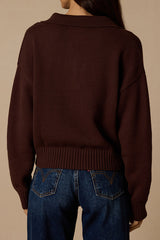 Cozy Forecast Dark Brown Collared Pullover Sweater
