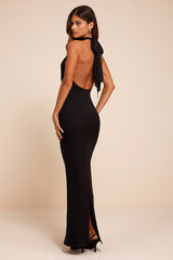 Frona Black Mesh Backless Maxi Dress